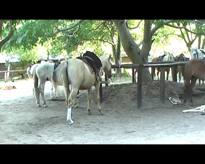 Programa 24 - 27/02/2015
